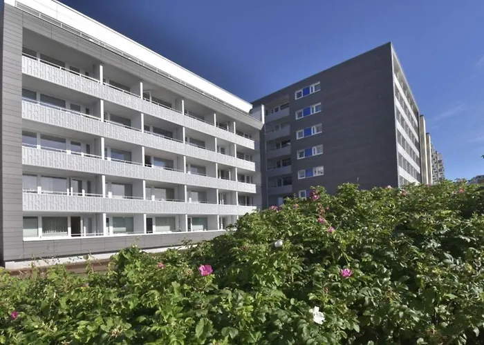 公寓 Wiking, App 507 *